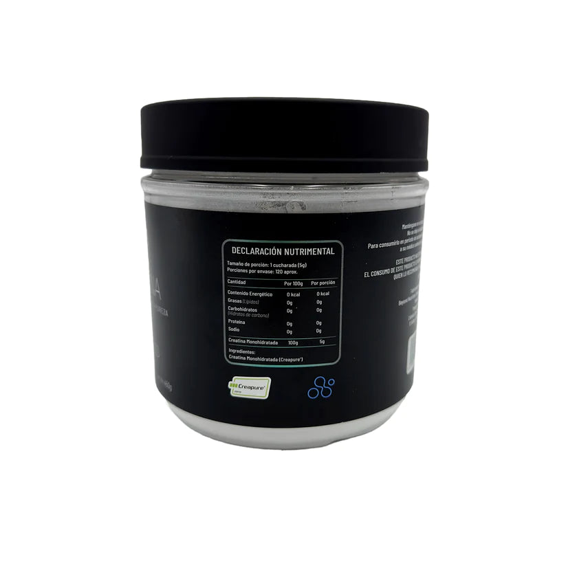 IVO Kit Creatina + Proteína